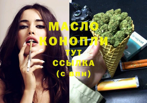 дмт Нягань