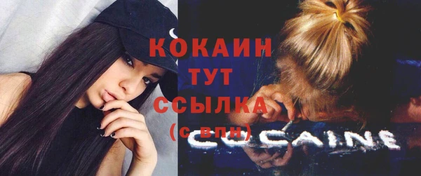 гашик Абинск