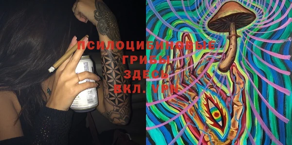 дмт Нягань