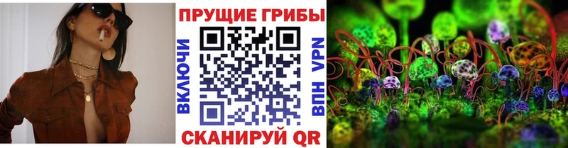 даркнет телеграм  купить  цена  Сергач  Галлюциногенные грибы Magic Shrooms 